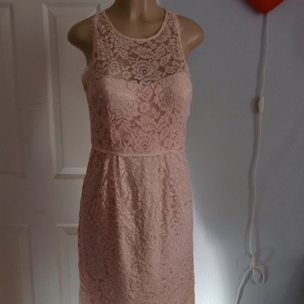 Sleeveless Lace Midi Dress in Blush Pink